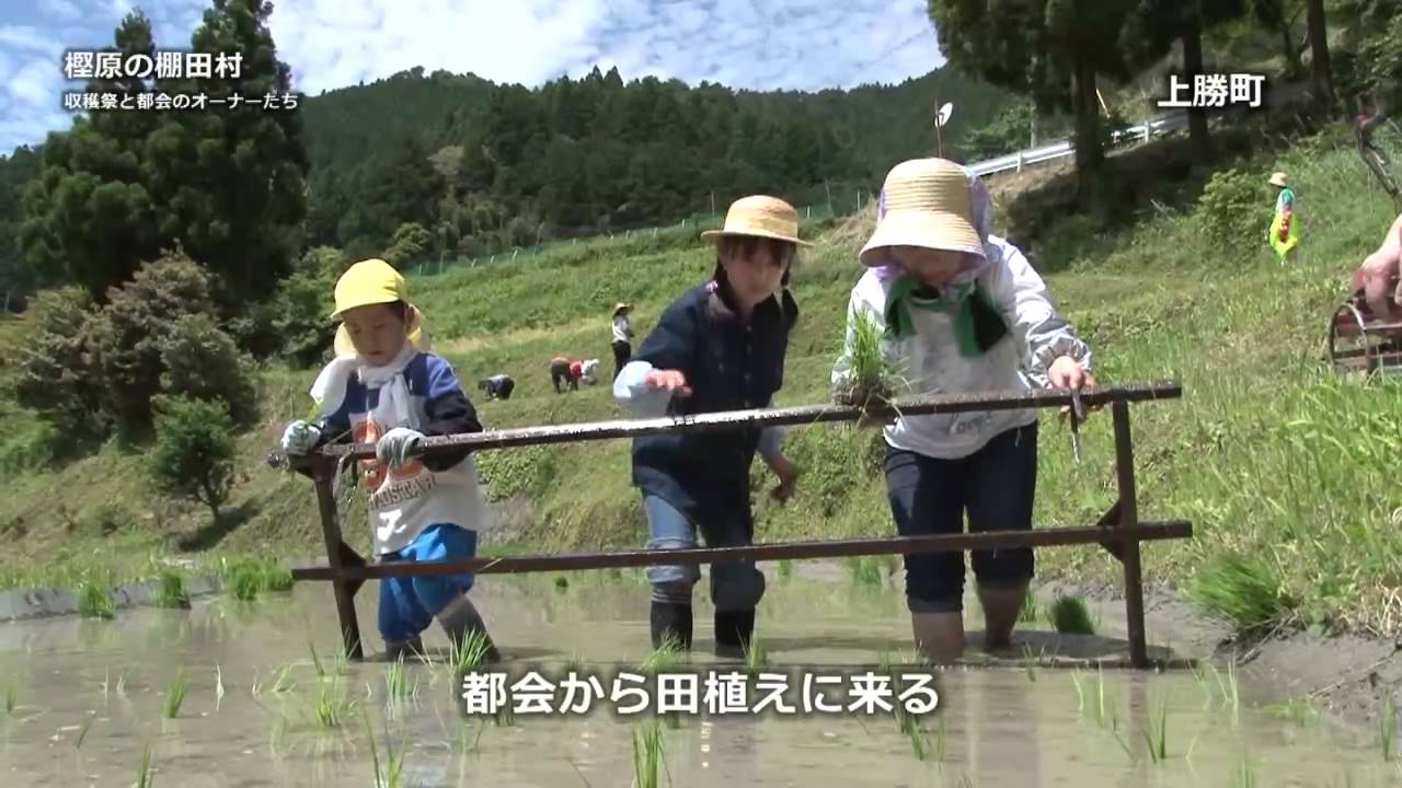 上勝ピンポイント 樫原の棚田村