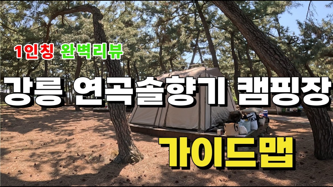 4K🏕️강릉 연곡솔향기 캠핑장🏖️ l 🏄🏽역대급 오션뷰 l 명당 l🚁드론 l 바다캠핑 l 강원도 l 연곡해수욕장 l 데크별 상세 리뷰 l 1인칭시점 l 캠핑장추천 l 강원도캠핑장