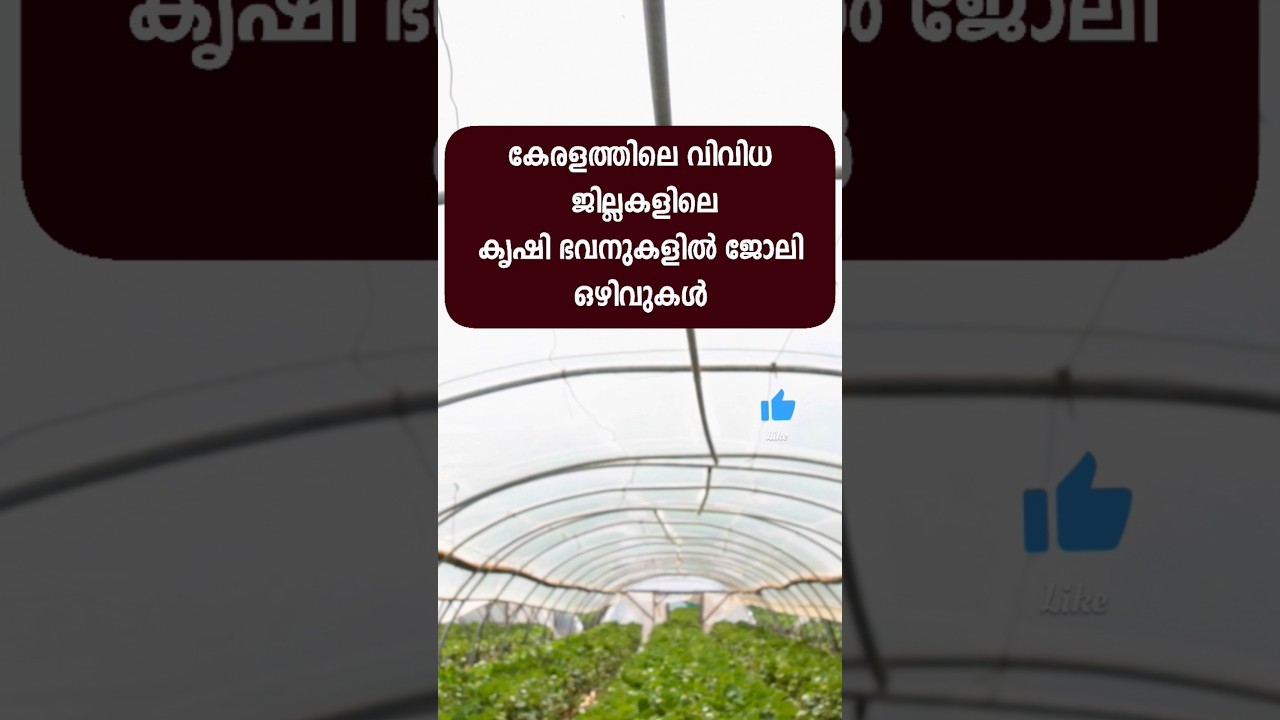 അടുത്തുള്ള കൃഷിഭവനിൽ ജോലി സെറ്റ് #jobsmalayalam #keralajobs #jobvacancymalayalam #jobvacancy
