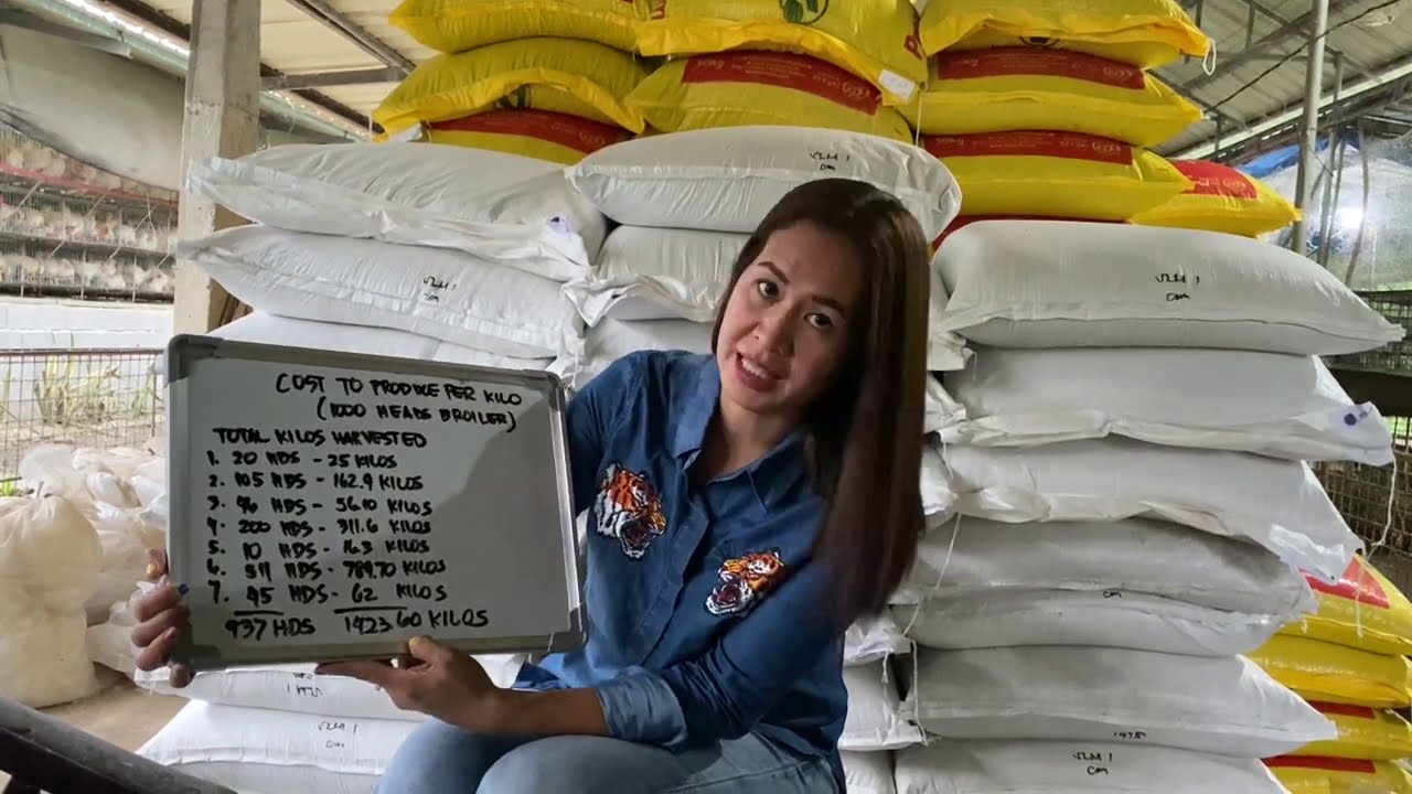 Magkano ang puhunan sa bawat kilo ng manok  (1000 heads  broiler) + mas mabilis ang ROI