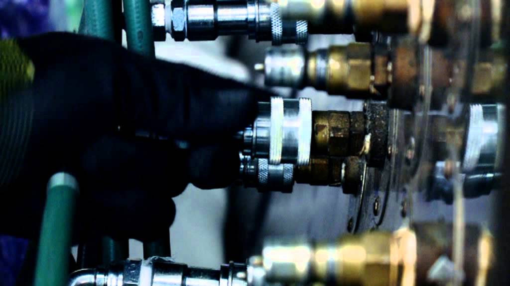 The Sparco World - This Is Who We Are