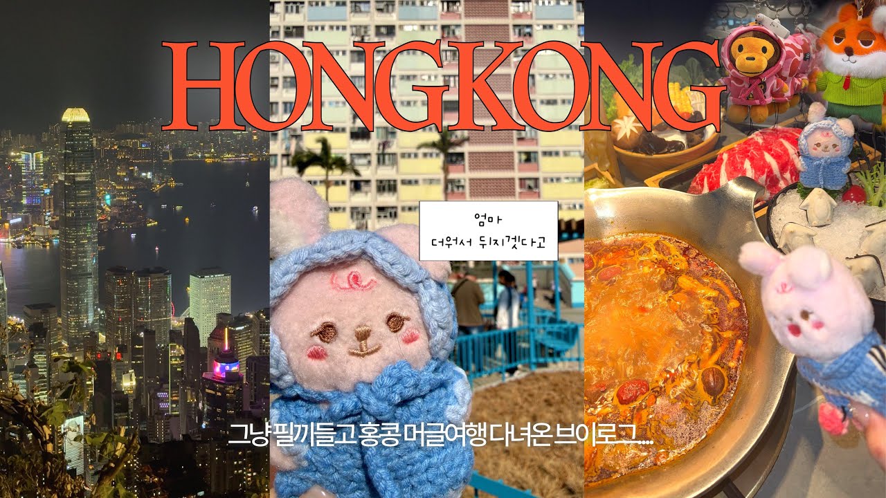 시작은 𝓣𝓱𝓮 𝓓𝓔𝓒𝓐𝓓𝓔 해투였지만 그냥 열심히 홍콩 관광하고 옴🍲🇭🇰 | 마이데이 브이로그