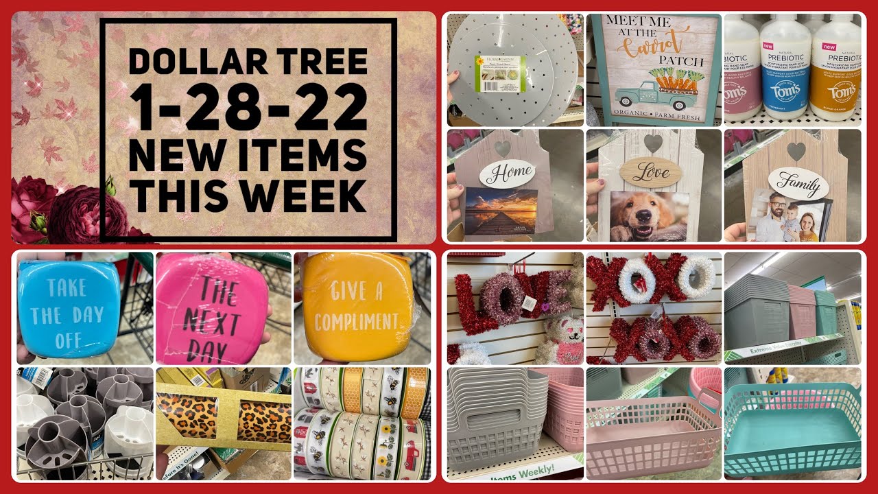 Dollar Tree NEW 1-28-22
