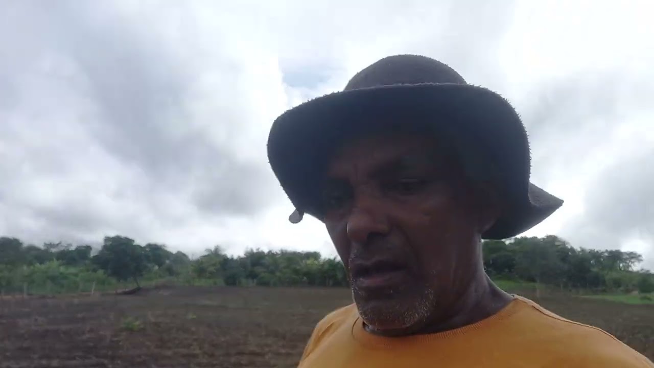Mostrando o plantio de milho