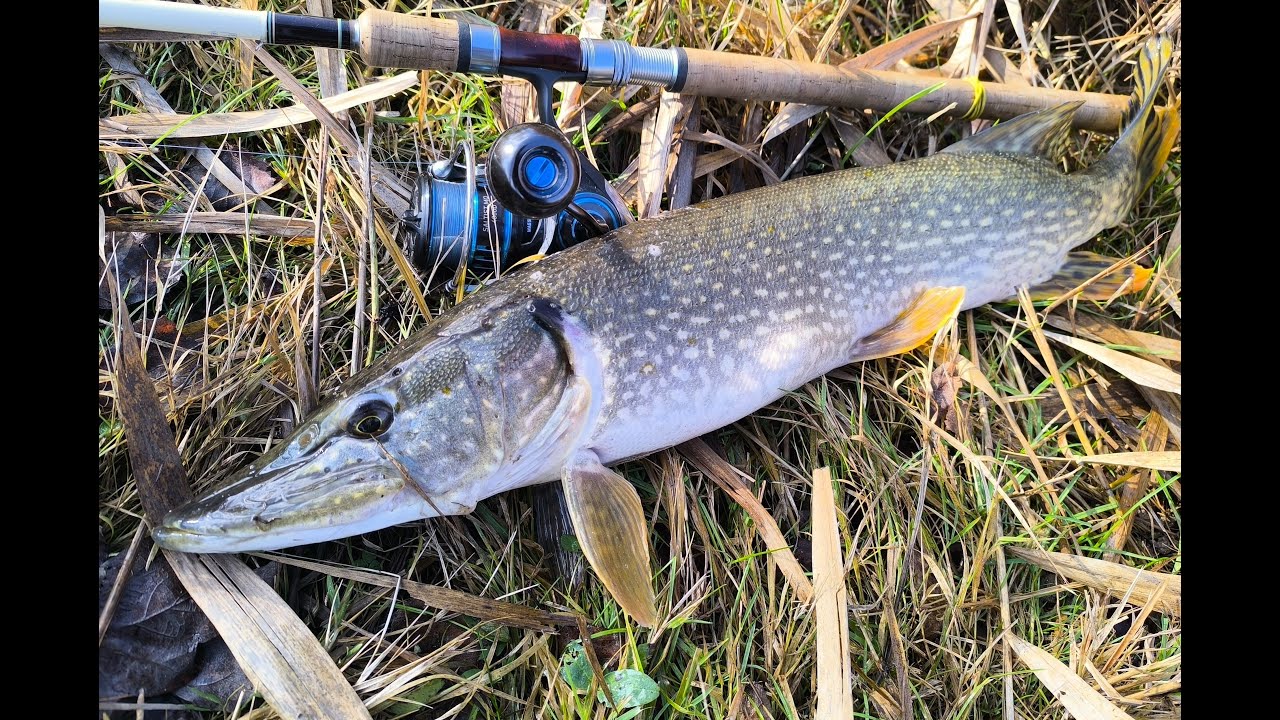 Pike Fishing Compilation Ep.3 Smashed My PB!