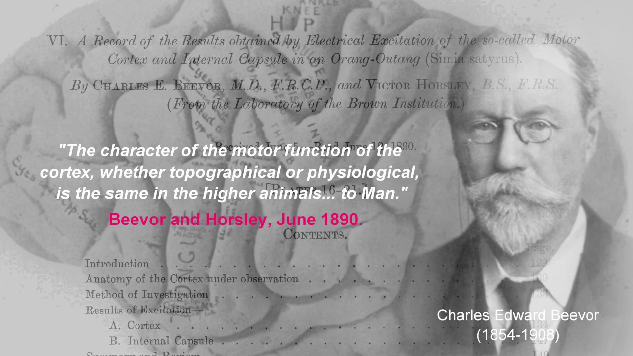 Sir Victor Horsley (1857-1916): A Heart of Gold