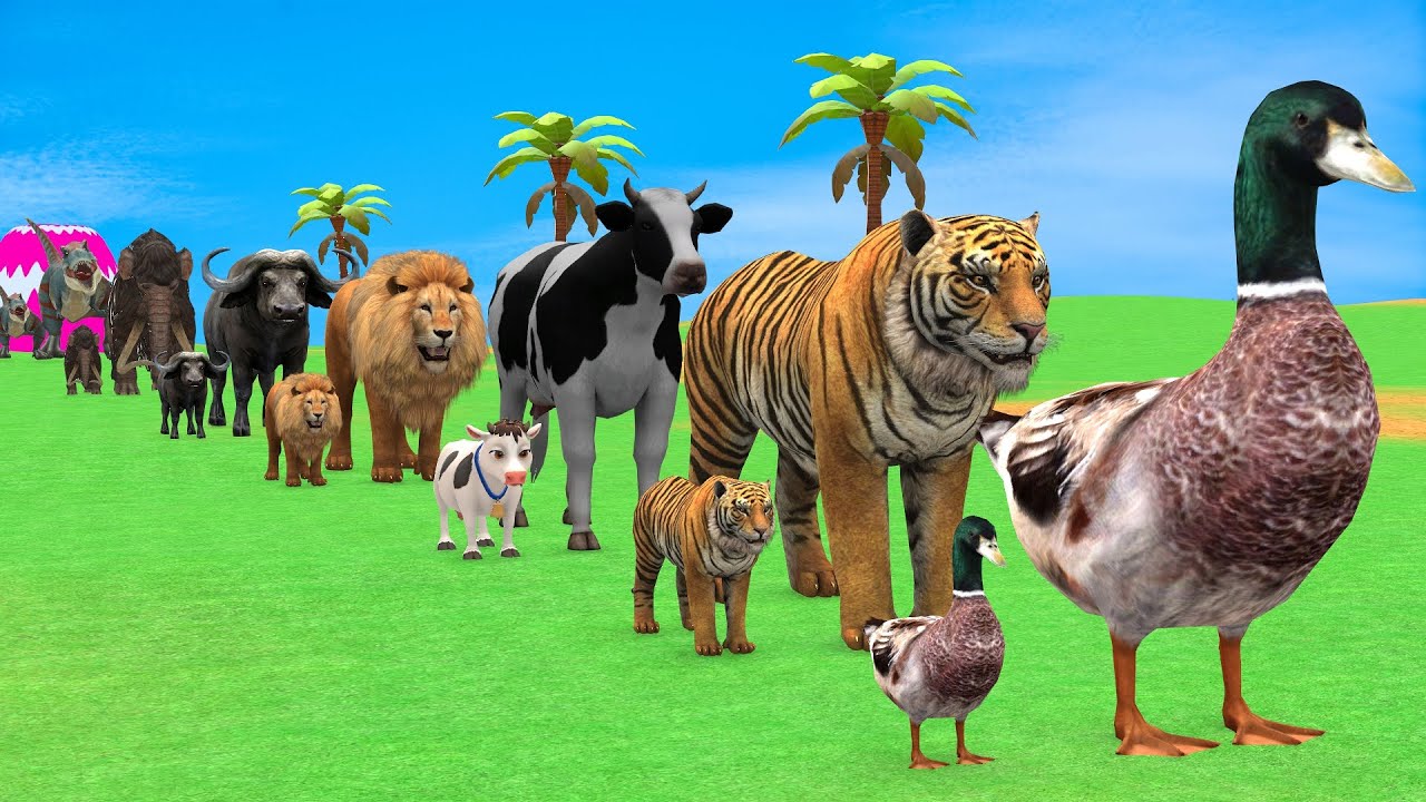 Long Slide Game with Cow Elephant Gorilla Hippopotamus Tiger 3d Animal Game Funny 3d Animals