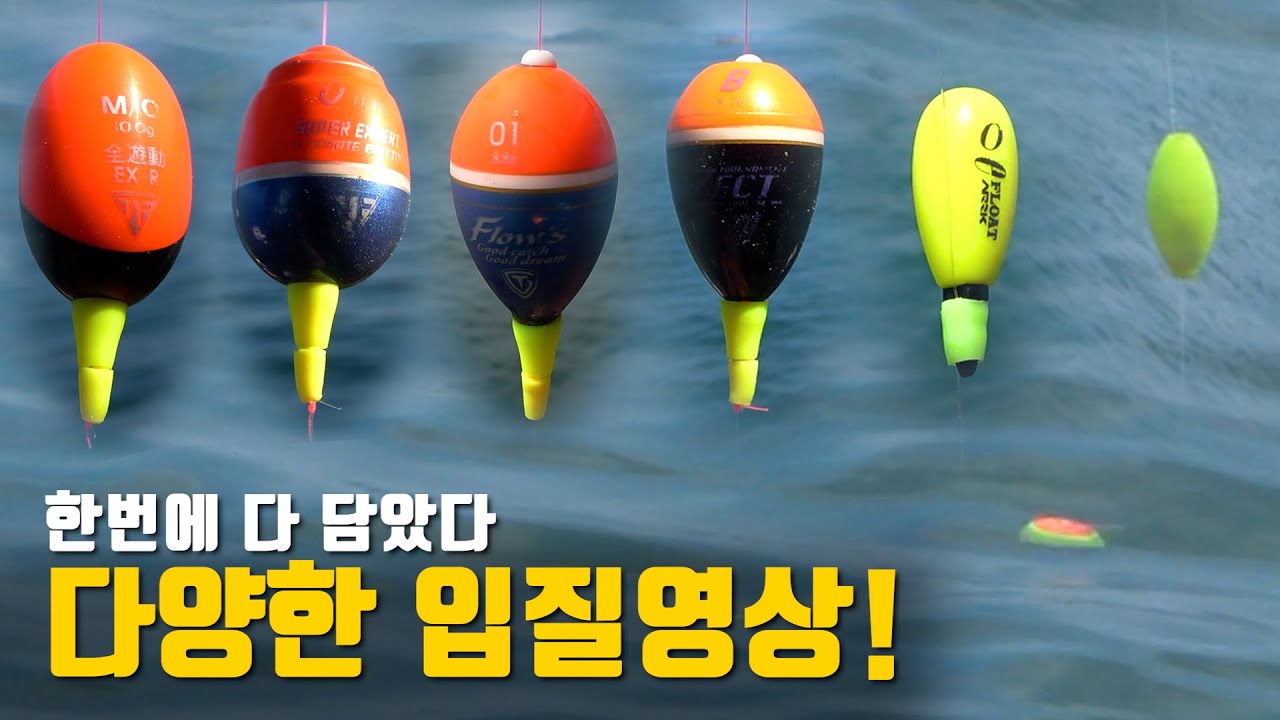 벵에돔 입질영상은 이걸로 끝내겠습니다
