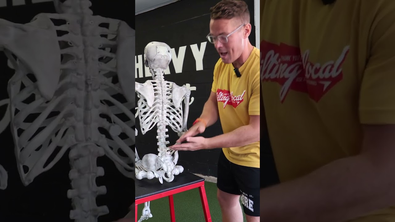 Monkey Bars for Serious Health Benefits