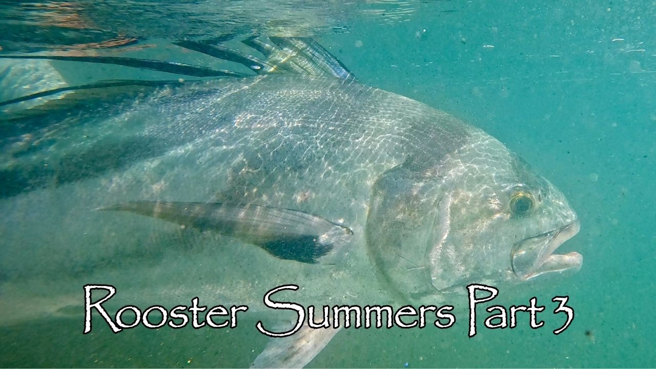 Rooster Summers Part 3