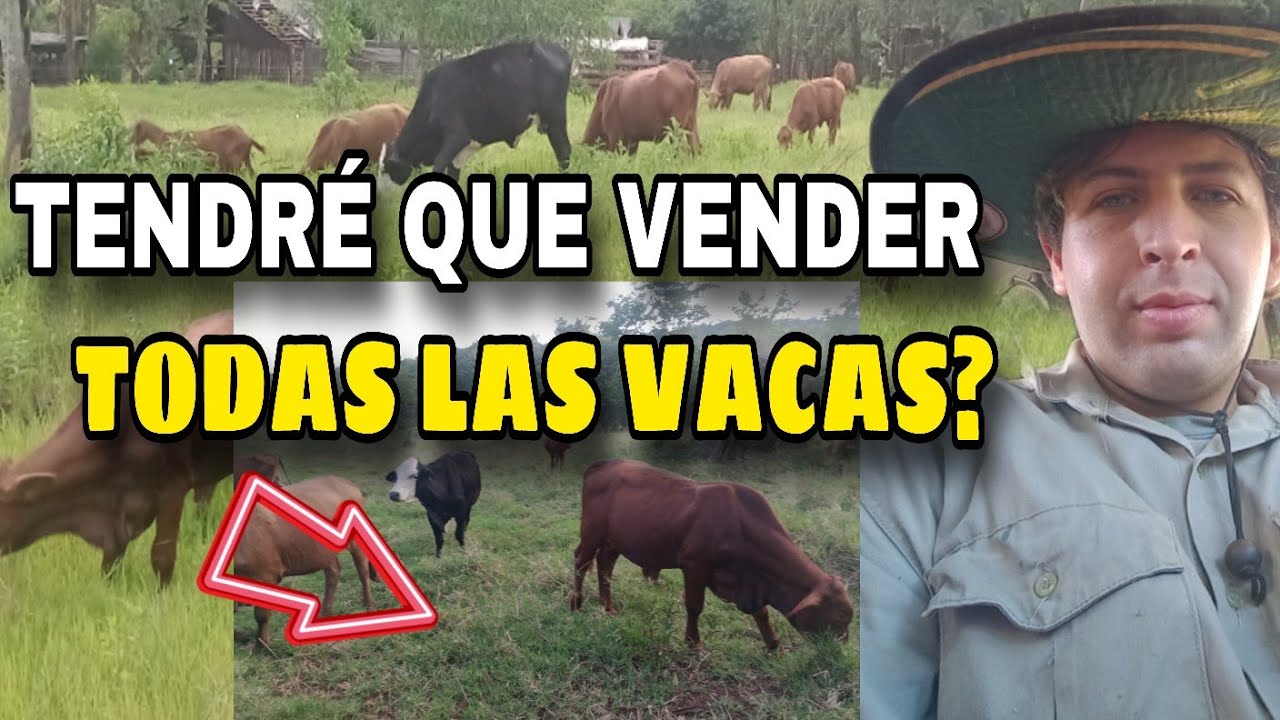 Cometí un error al empezar en la GANADERÍA... Y te  cuento para que no HAGAS LO MISMO 🤠