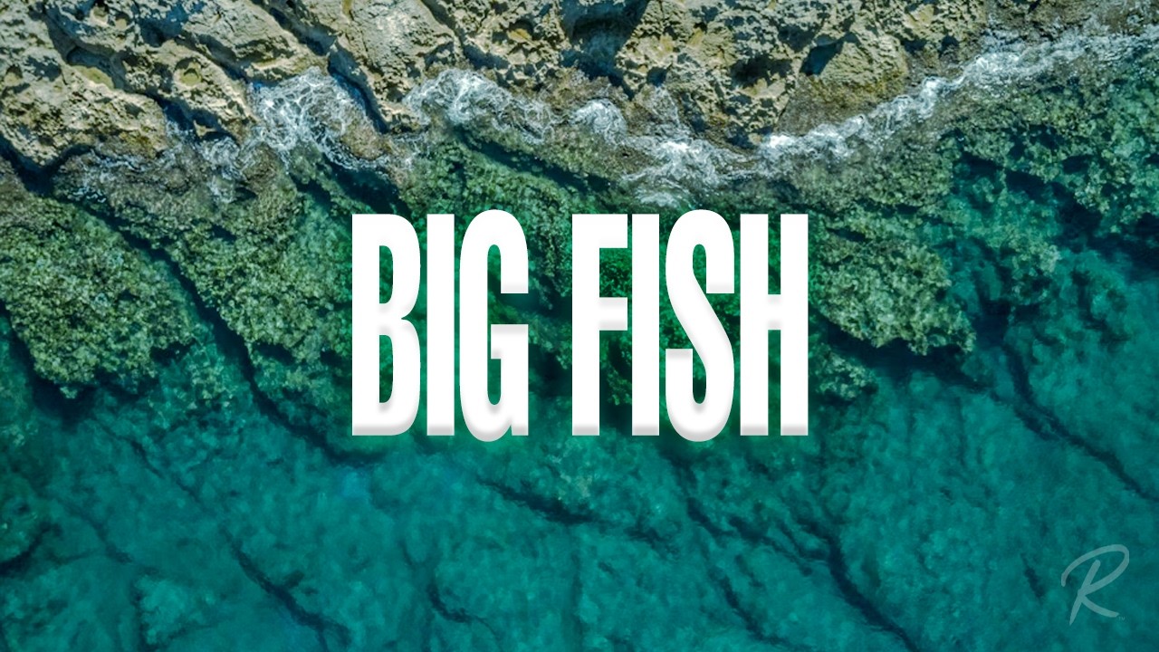 The Remnant Church: Big Fish - AJ Noel