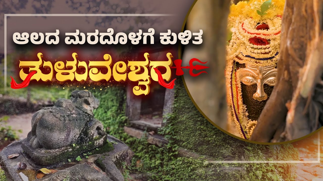 ತುಳುನಾಡಿನ ಅಧಿಪತಿ ತುಳುವೇಶ್ವರನ ದೇವಸ್ಥಾನ  | Tuluveshwara Temple: Nature’s Guarded Ancient Wonder | UV