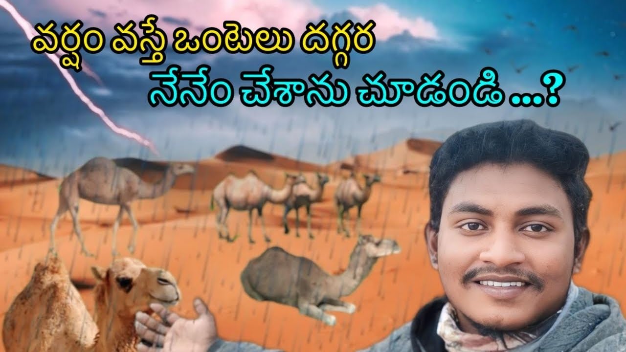 #కువైట్ ఎడారిలో వర్షం వస్తే నేను ఏం పని చేశానో చూడండి😱😯!!@Ravivlogsrayal #one men show 😎!!#support