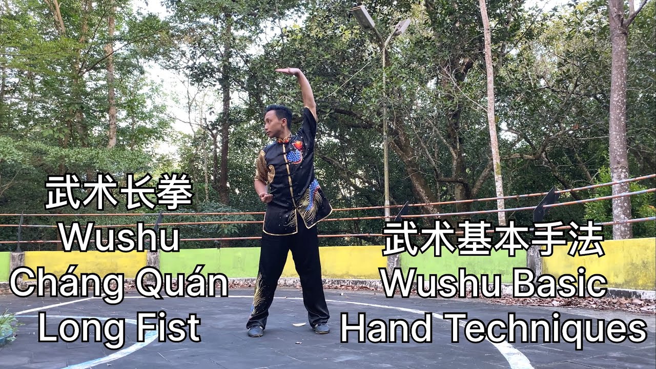 Wushu Chang Quan Basic Hand Techniques 