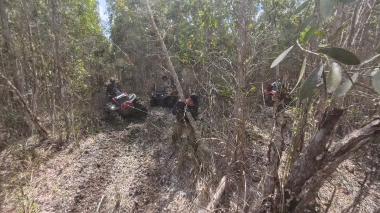 the mud