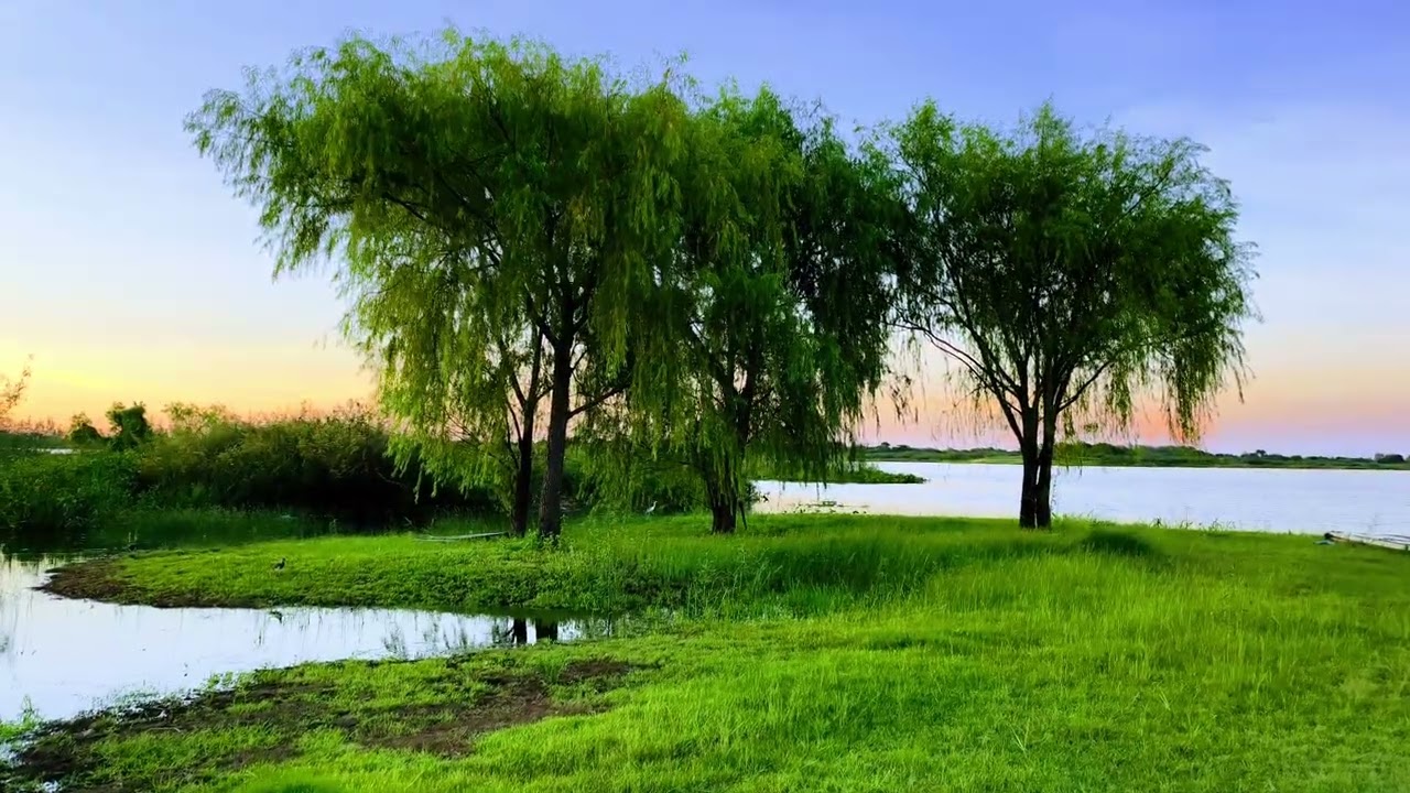 Costanera de Asunción (Paraguay)