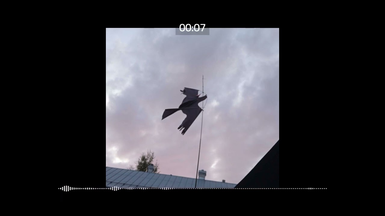yövalo kun sammuu, vittuuko teet // single