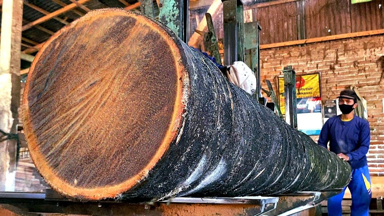 The Hard Impact of a Sawmill: Coconut Tree Wood for Construction