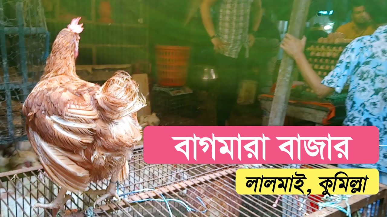 ব্যস্ততম এক বাজার বাগমারা। বাজারের মাঝ দিয়ে চলে গেলে কুমিল্লা-নোয়াখালী প্রধান সড়ক।
