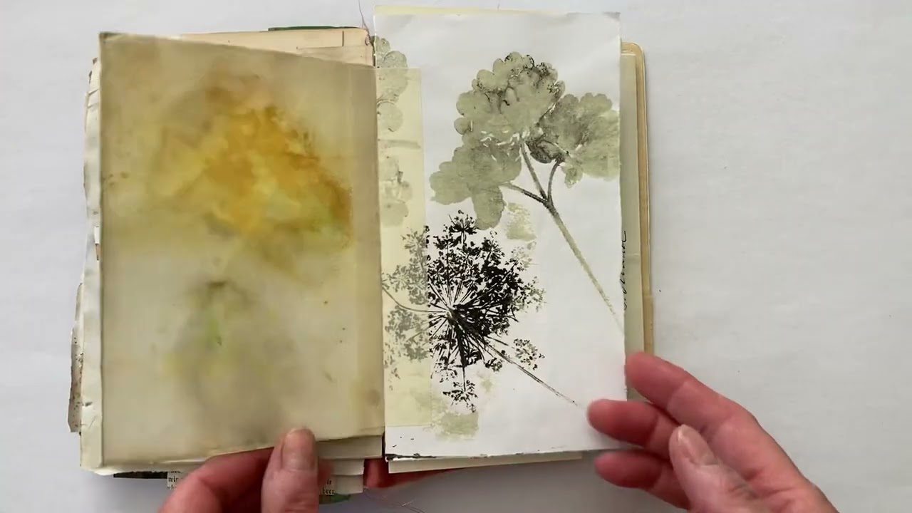 Hummingbird Journal flip through