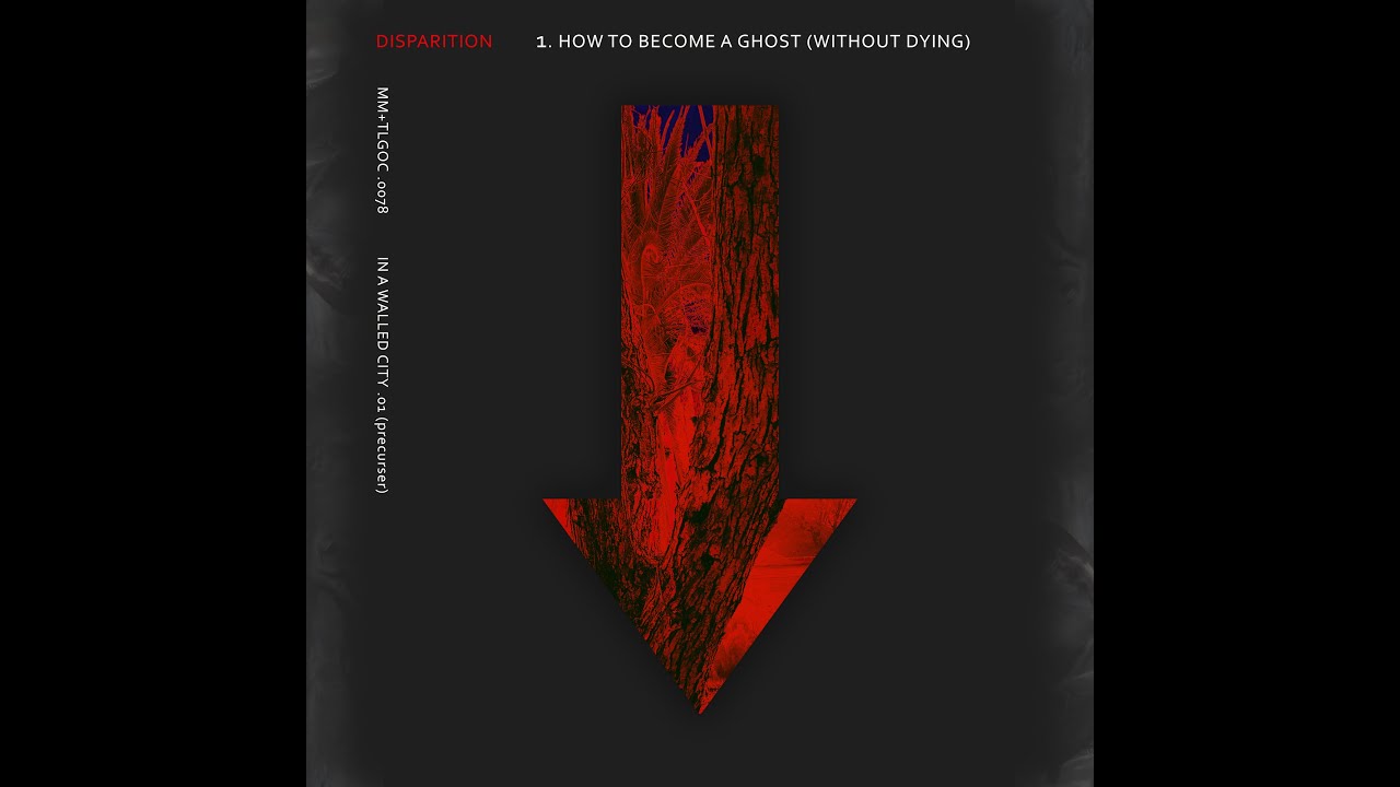 Disparition - 1. How To Become A Ghost (Without Dying) - In A Walled City