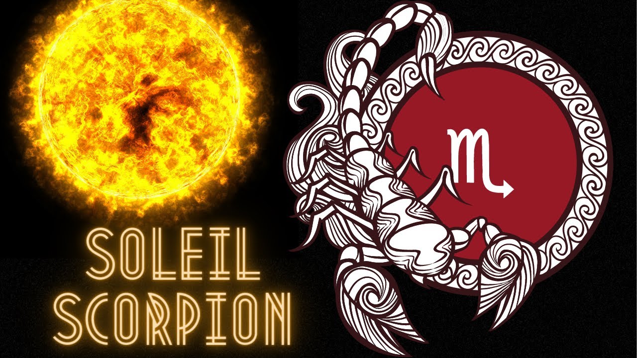 Soleil en scorpion - une profonde tenacité