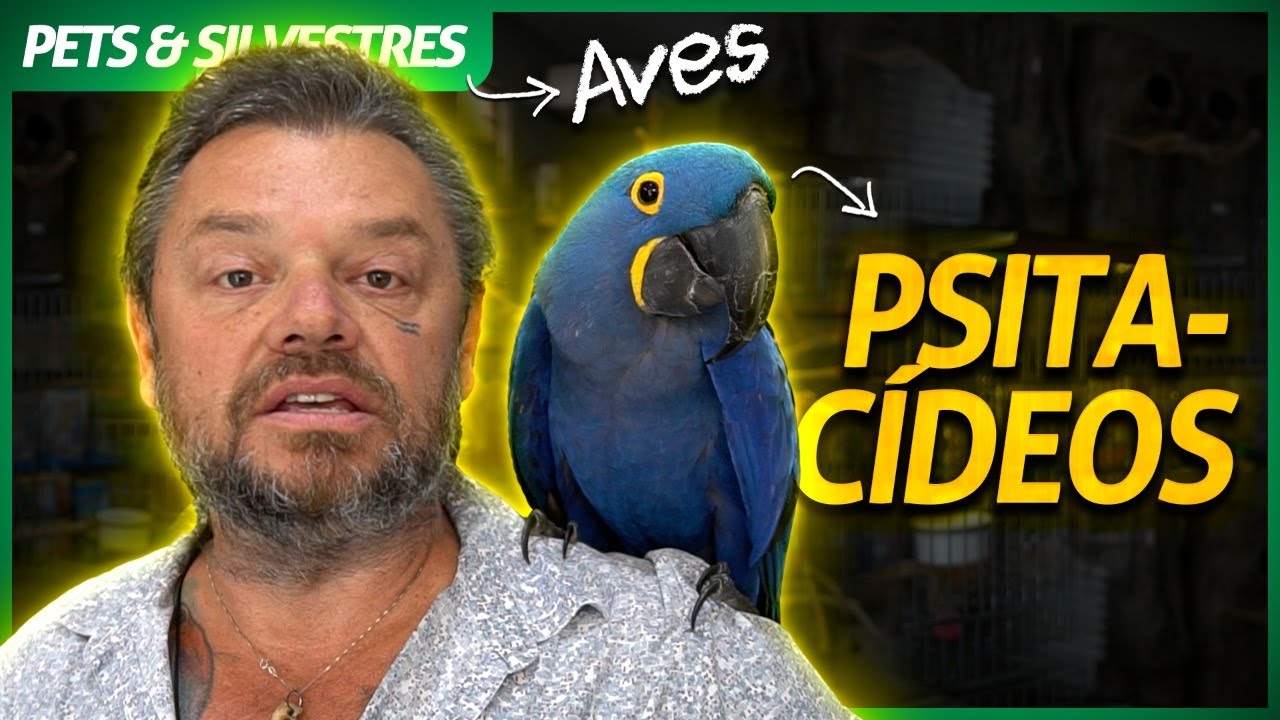 VANTAGENS E DESVANTAGENS EM TER UMA ARARA-AZUL EM CASA? | RICHARD RASMUSSEN