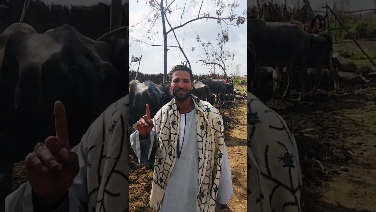 المعلم محمد مجدي بقولك هخلي كله يربط بهايم معاك أو مش معاك