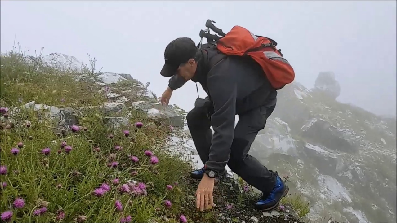 Alpi Apuane: Folgorito, Carchio, Focoraccia   18.6.2020