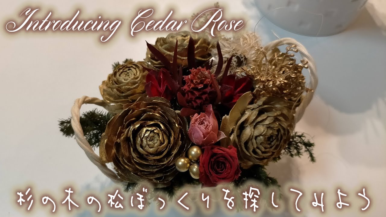 まるでバラの花！？杉の木松ぼっくり シダーローズ★見つけ方や加工のご紹介