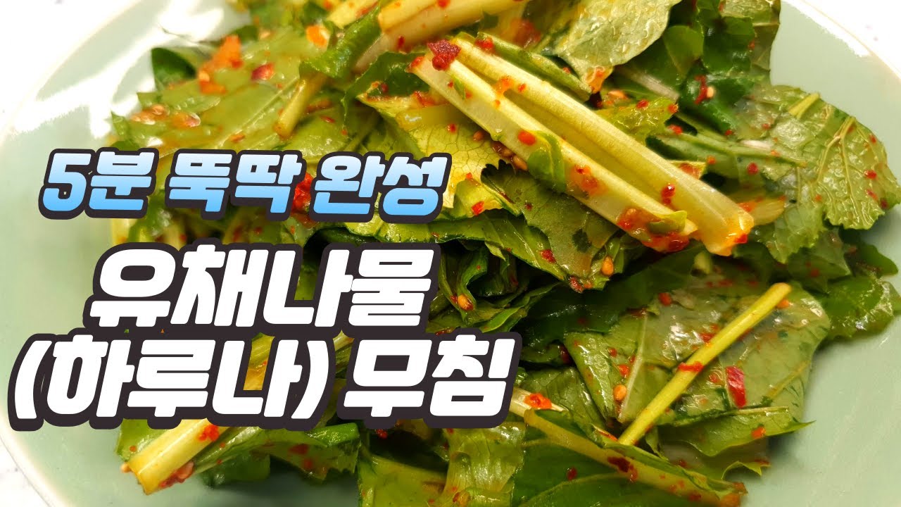 5분 뚝딱 완성, 쌉싸름한 맛이 매력적인 유채나물(하루나) 무침