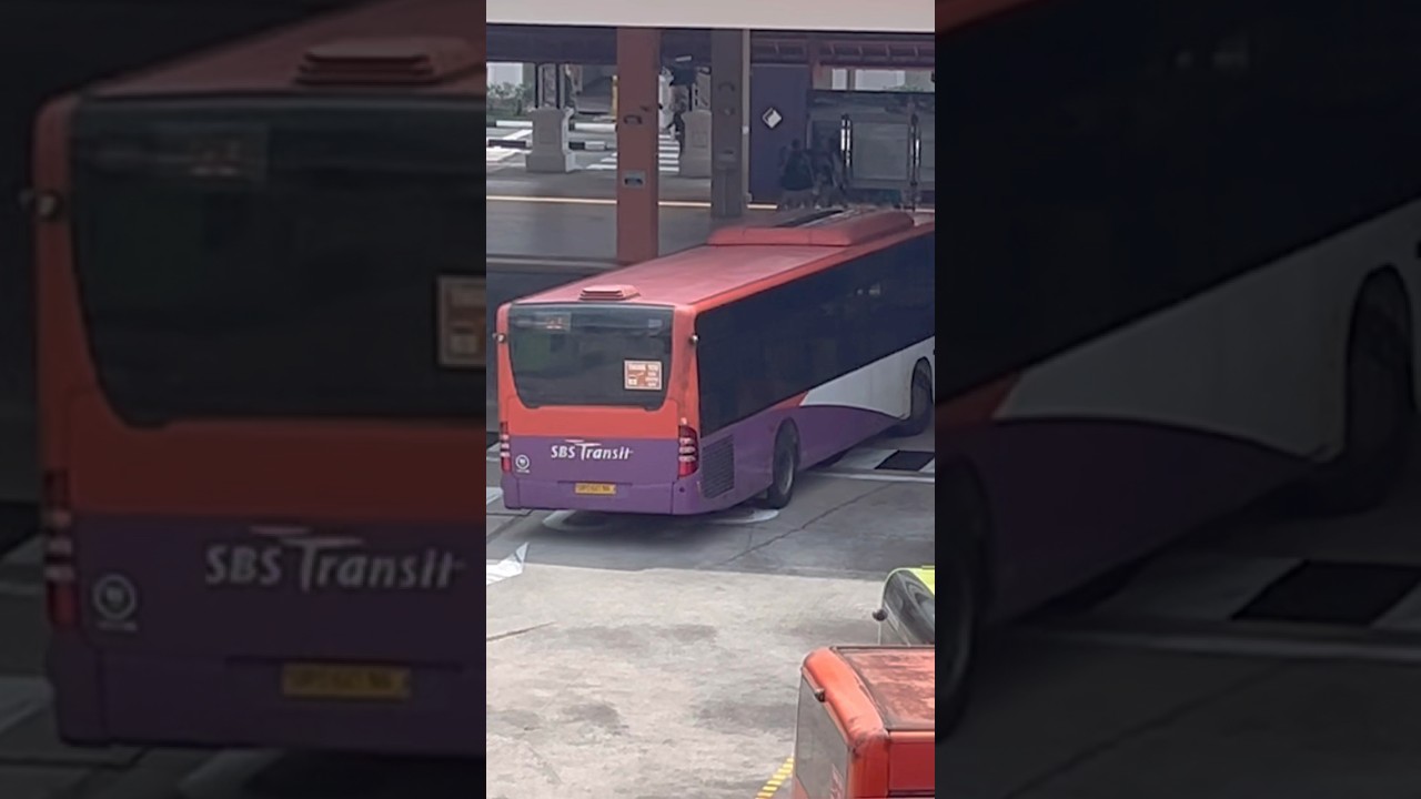 Mercedes Benz Citaro on svc 53
