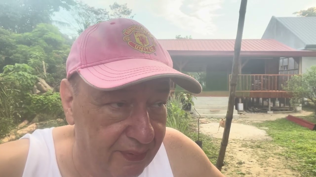 Compound Life за последние несколько дней