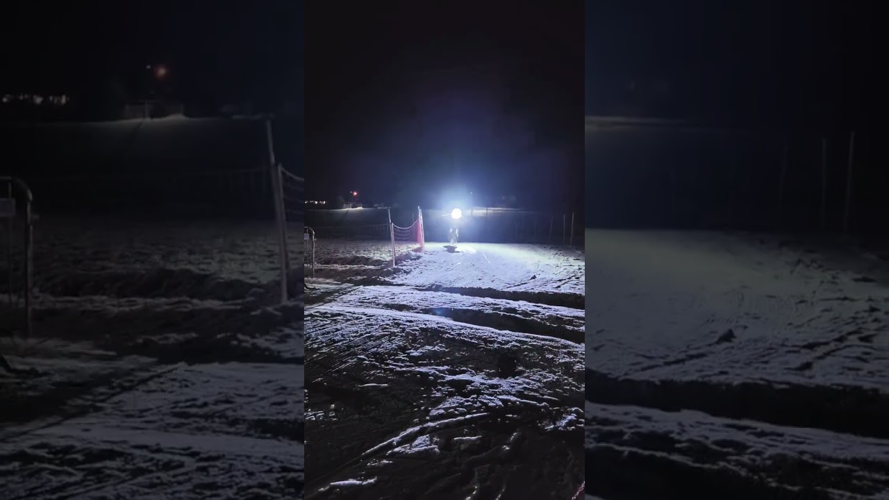 Skijoring Velka Cena Ladovej / Ice Trophy 2024
