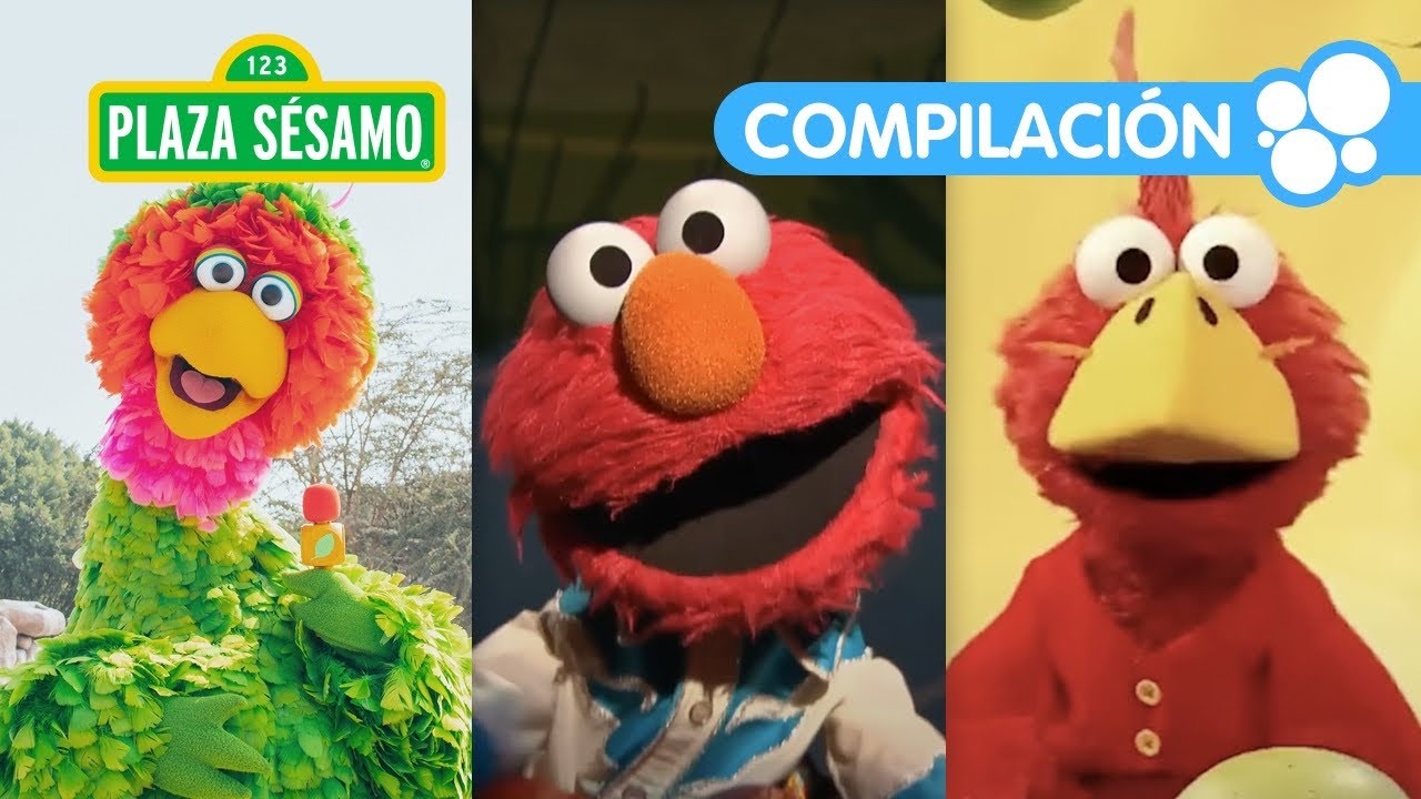 Plaza Sésamo: 1 Hora de canciones y aventuras en la naturaleza con Elmo y sus amigos | Compilación