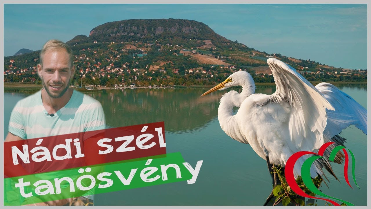Kenuval a Balatonon !!!! - Nádi szél tanösvény