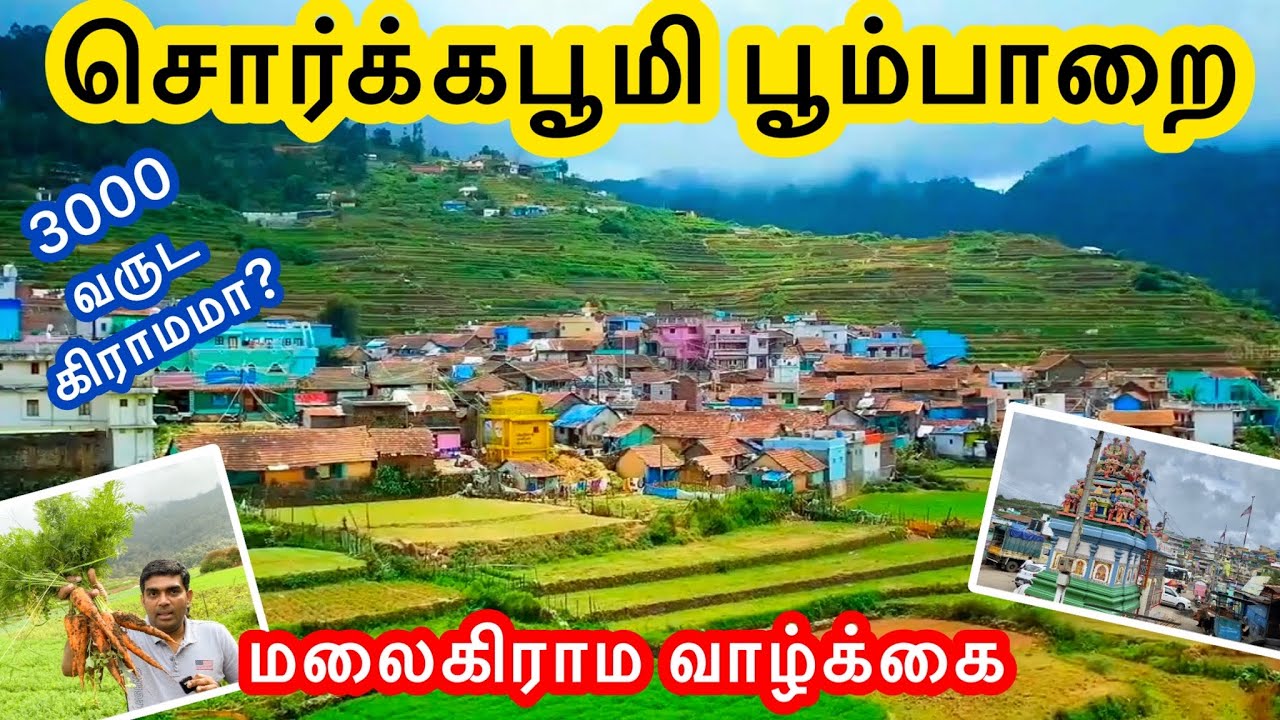 கொடைக்கானல் பூம்பாறை🔥, சொர்க பூமி Poombarai🔥, Village Tour, Tamil Vlog, Kodaikanal