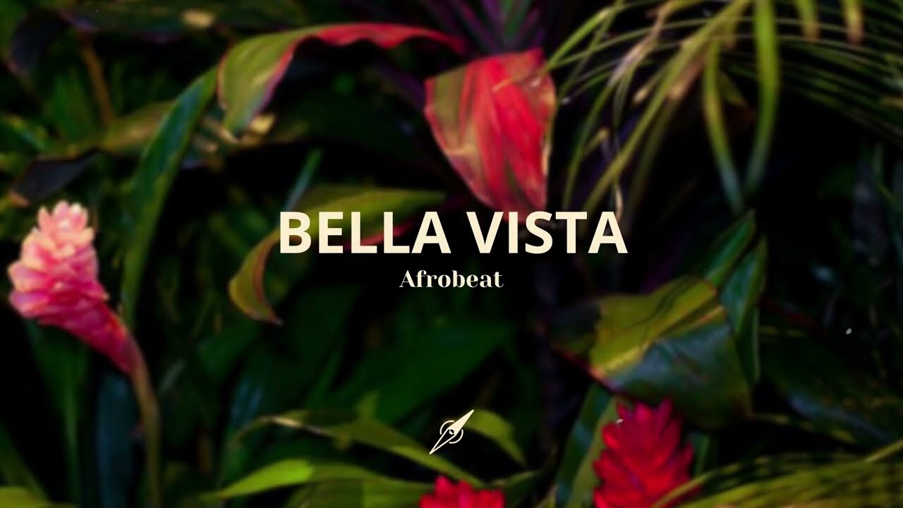 🍍NEW Afrobeat Beat, Afrobeat Type Beat Burna boy 