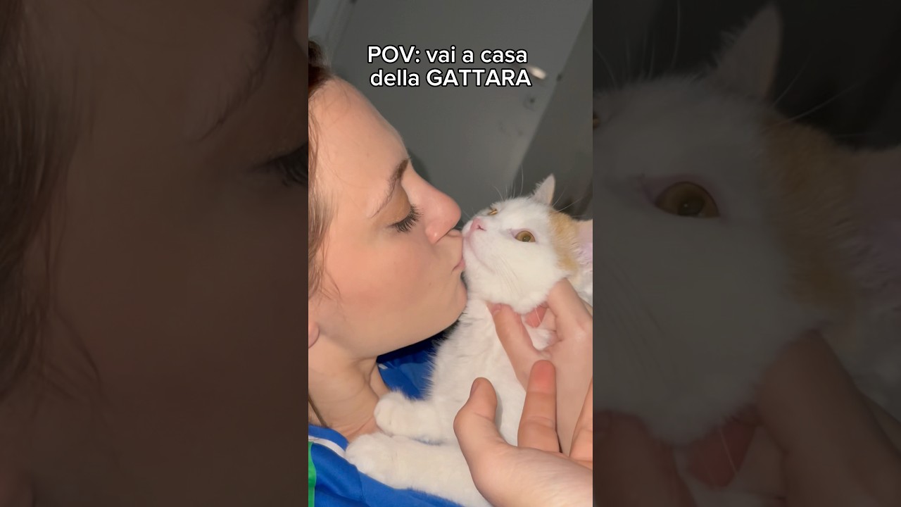 GATTARA nel cuore