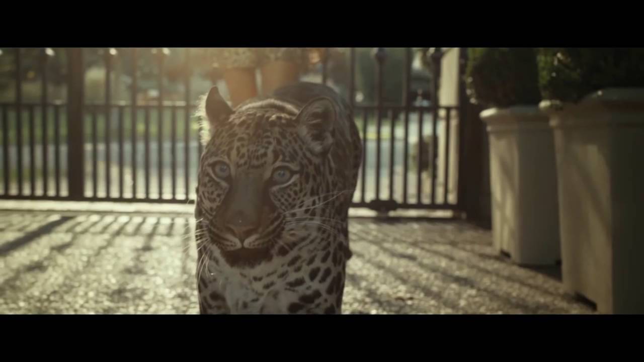 Magnum Double Advert 2016: Release the Beast [Edit]
