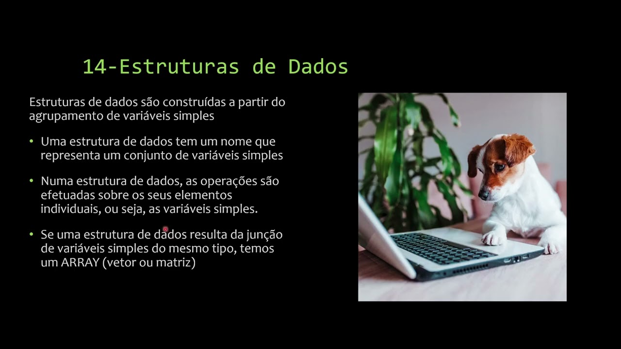Programação - Algoritmos - Sessão 4 (12/02/2026)