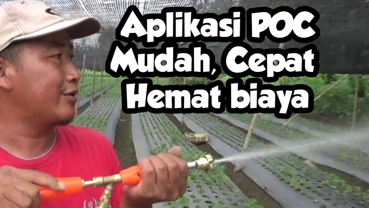 Cara Aplikasikan POC, Cepat Dan Murah Biayanya