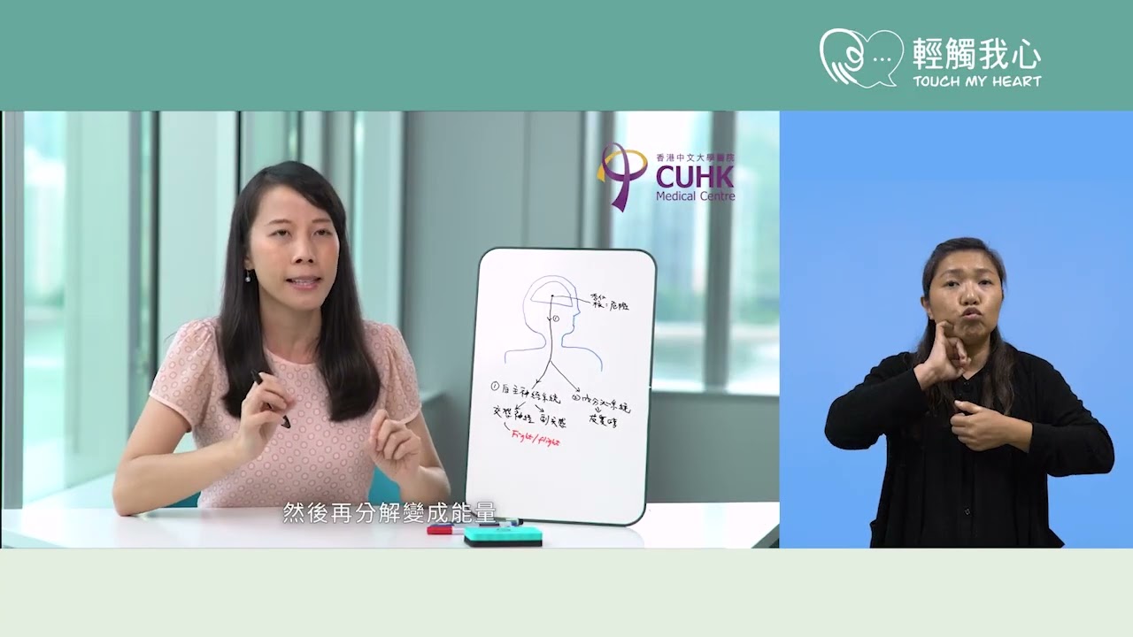 【聾人心理健康10分鐘】壓力的腦神經科學【輕觸我心】