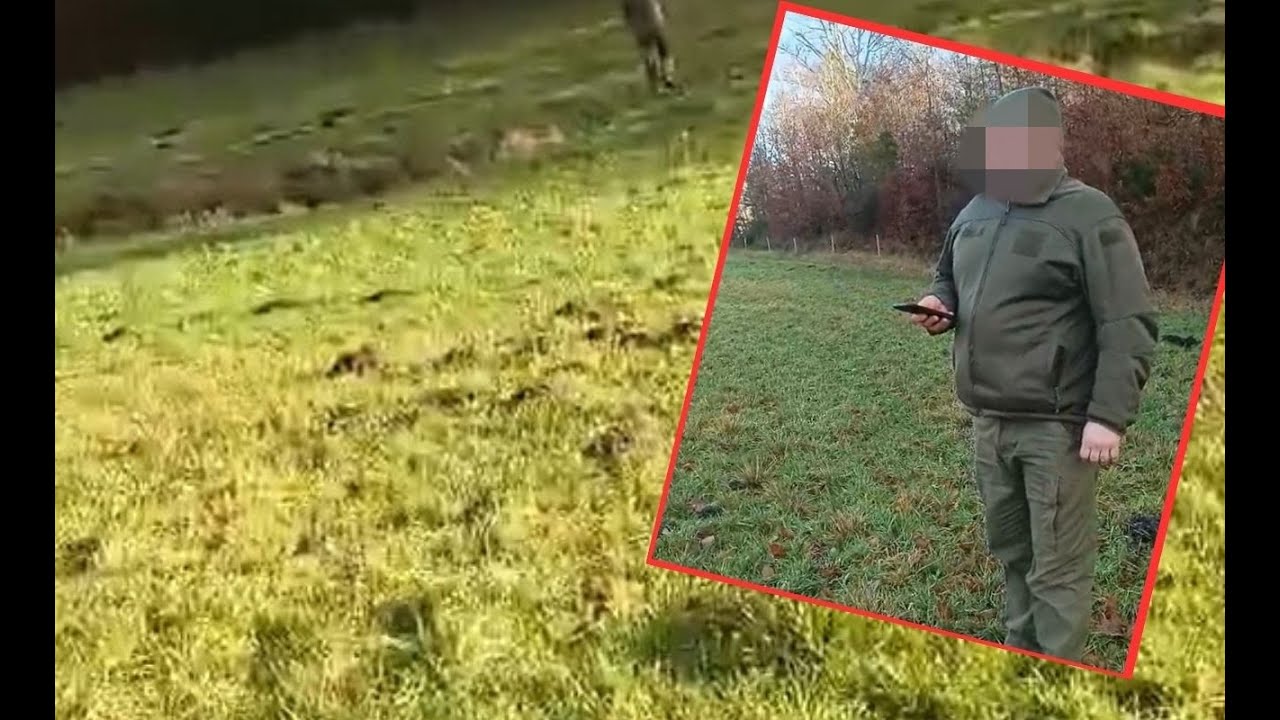 Agresywny myśliwy przyjechał szacować szkody łowieckie