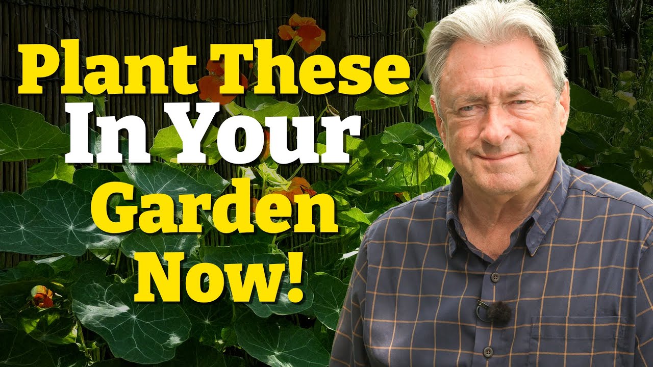 My Favourite Companion Plants - Plant in Your Garden Now for Bigger Harvest & Fewer Pests