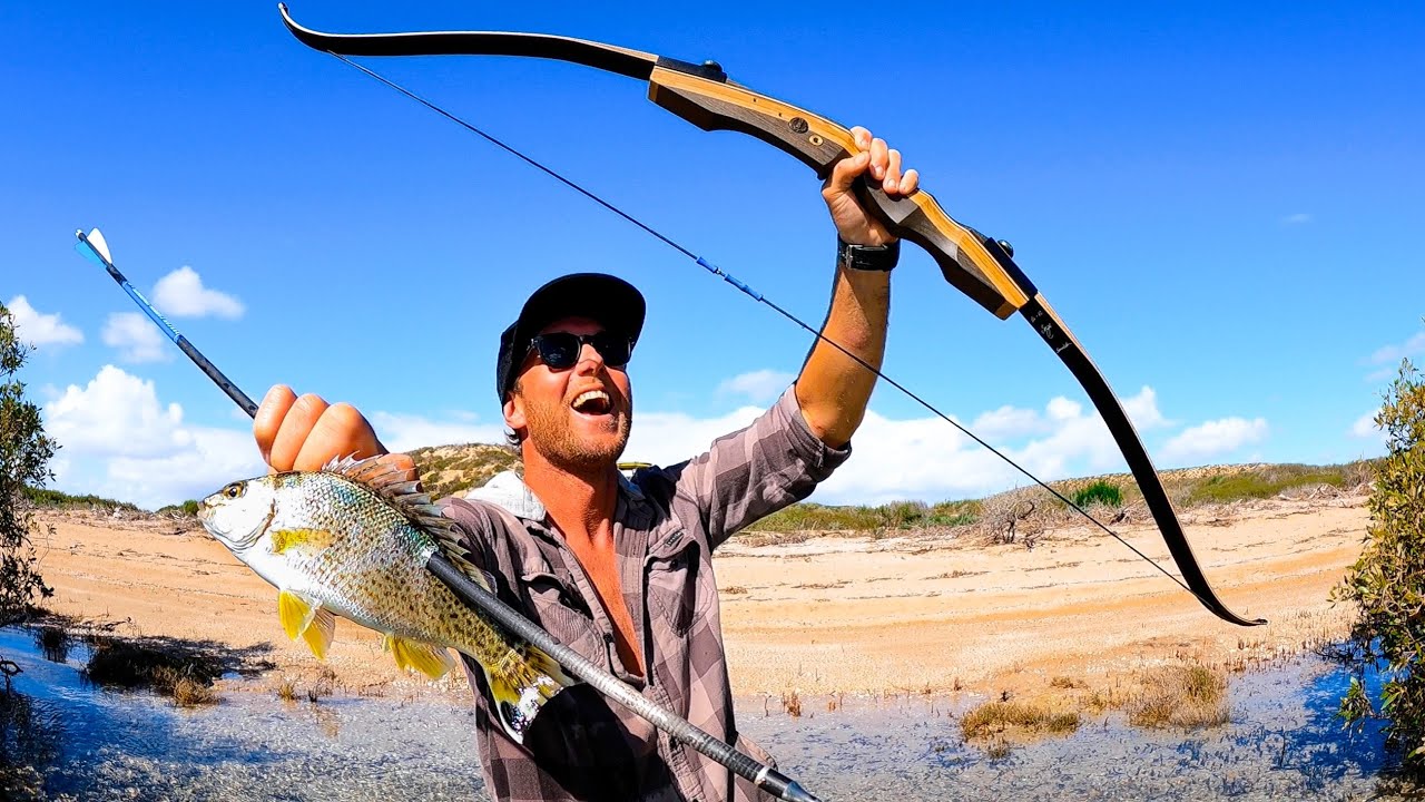 RETO DE PESCA: CADENA ALIMENTICIA - Desde la diminuta gamba al EL ENORME TIBUR&Oacute;N
