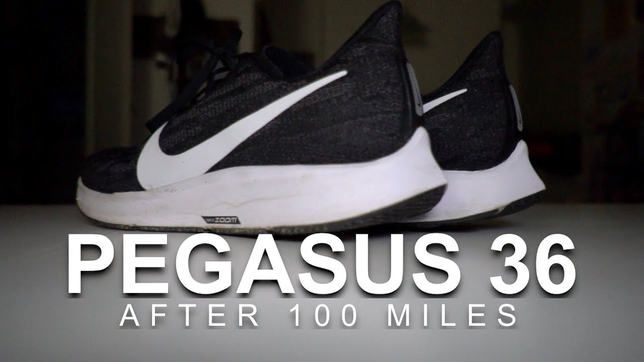 Pegasus 36 After 100 Miles