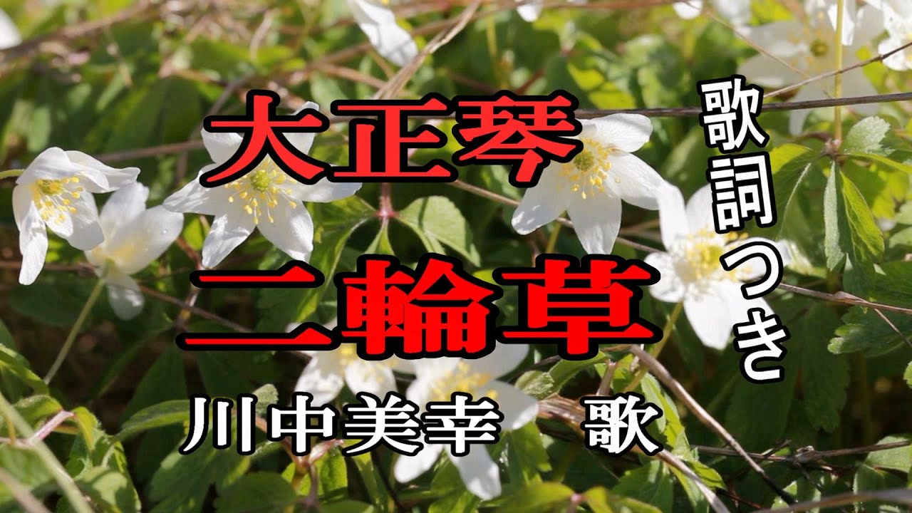 大正琴/歌詞つき【二輪草】川中美幸歌/懐メロ