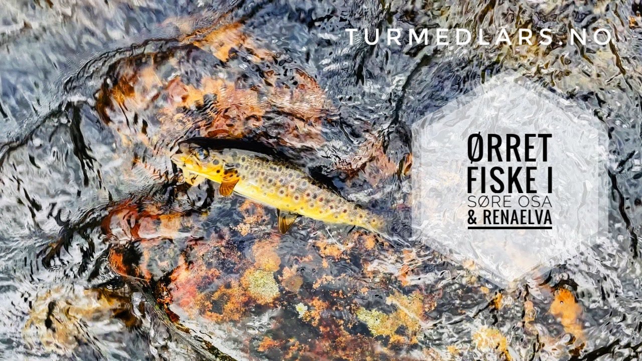 Fiske i S&oslash;re Osa og Renaelva - turmedlars.no